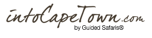 Into Cape Town Inquiry